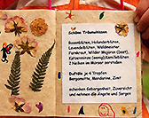 Hexenschule - Mechthild Fornhoff - Kinderecho 2008
